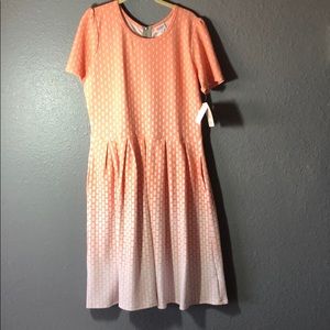 2xl Lularoe Amelia brand new